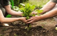 Agroecología: una oportunidad de transformación integral