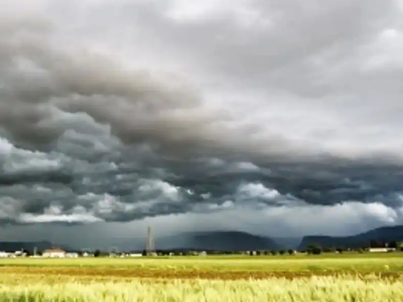 Las inesperadas retenciones que quiere el campo y el Gobierno de Javier Milei le podría sostener