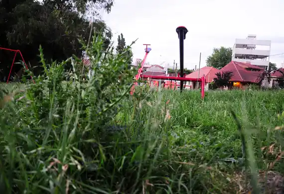 El Municipio contrató una empresa de desmalezamiento por 175 millones por los pastos altos en las plazas