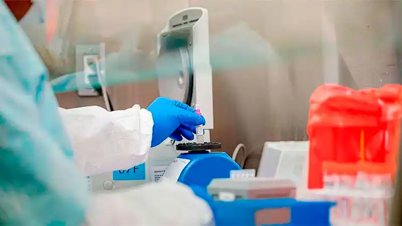 Qué se sabe de la temible variante Delta de Covid-19 y su impacto en Argentina