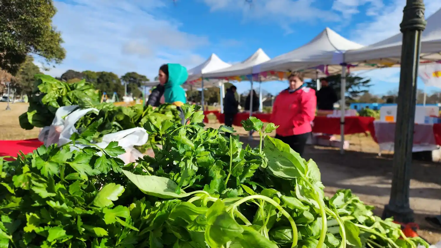Exitosa jornada del Mercado Alimenticio Barrial en la Estación