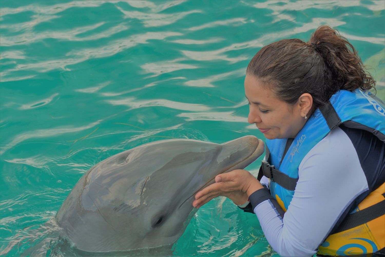 Nado con delfines en Cancún e Isla Mujeres: una experiencia única