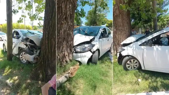 Un conductor evitó chocar un perro y terminó incrustado contra un árbol