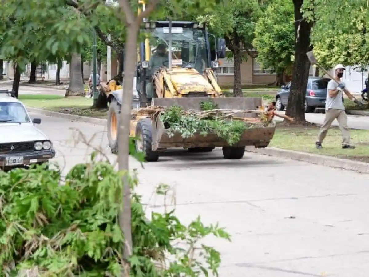 La caída de árboles provocó daños en algunas localidades de la región