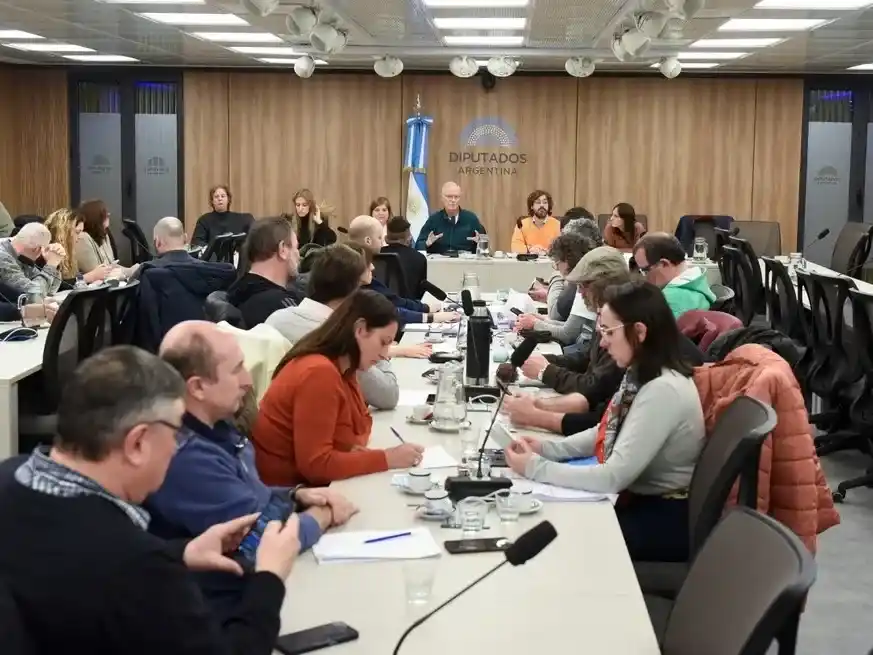 La comisión de Ciencia, Tecnología e Innovación Productiva escuchó a referentes de los organismos del sector.