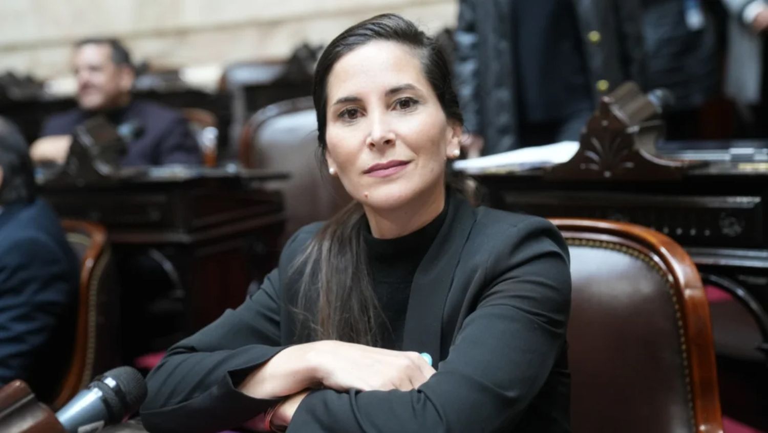 La diputada del Frente Renovador Micaela Moran
