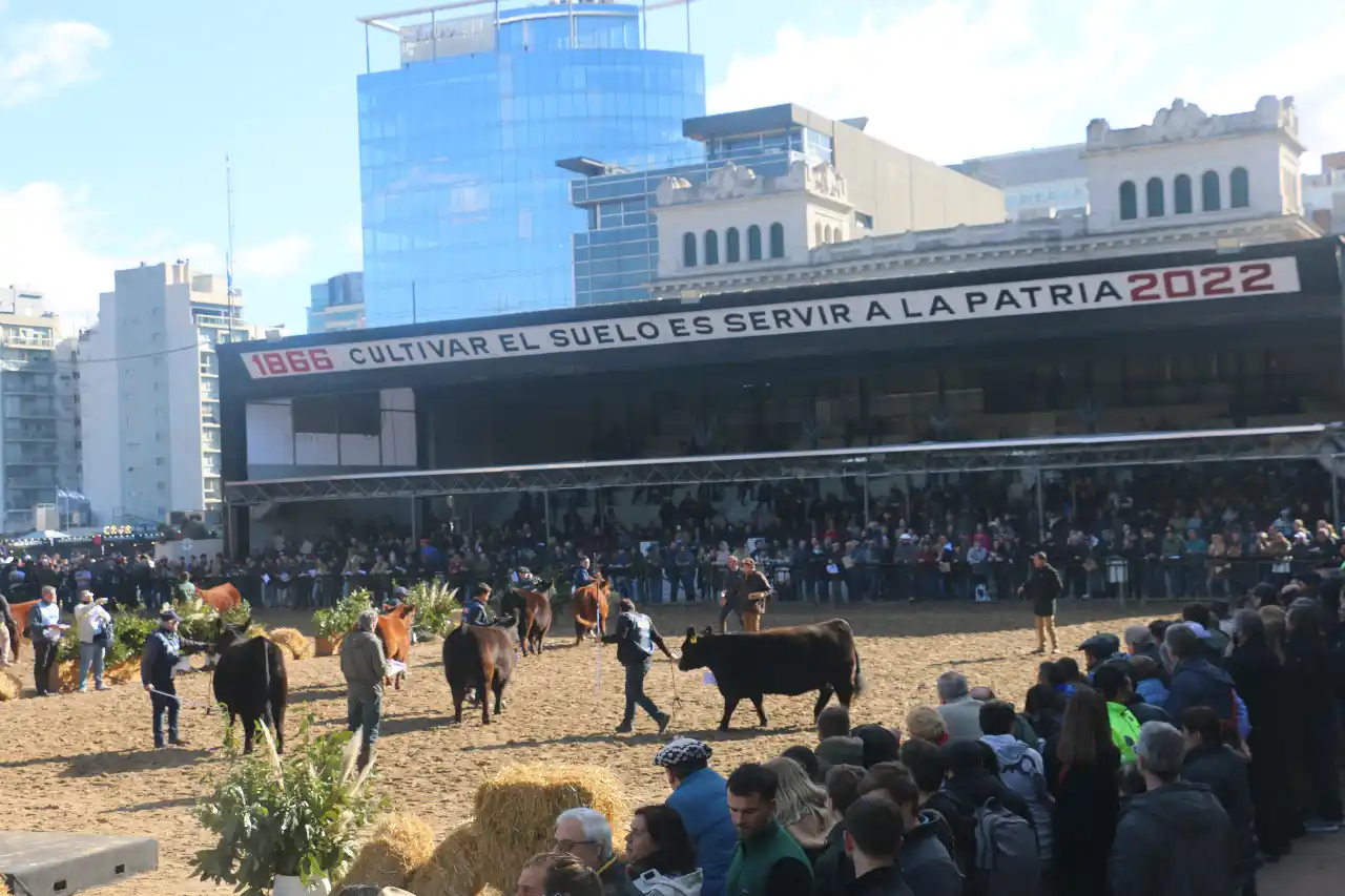 Destacada labor de las 22 cabañas entrerrianas en la principal exposición del campo argentino