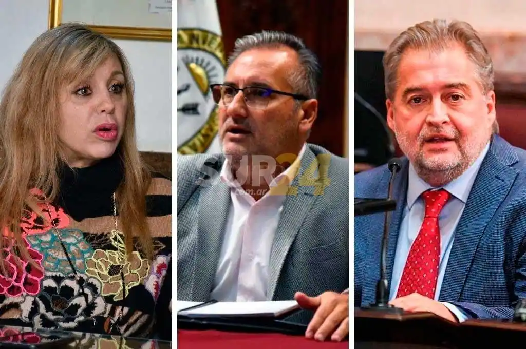 Sacnun y Lewandowski para el Senado, Mirabella a Diputados