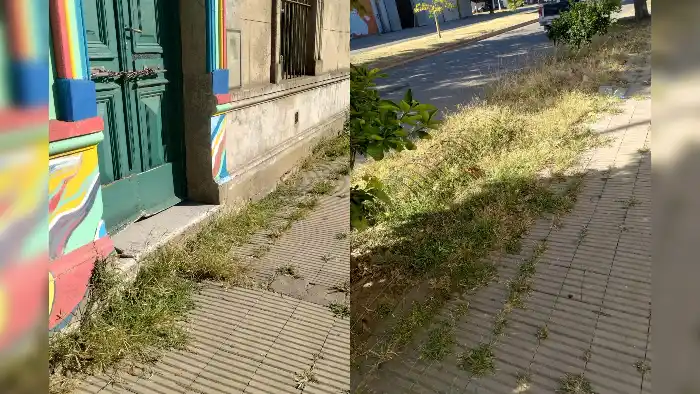 Abandono en el Centro de Casella