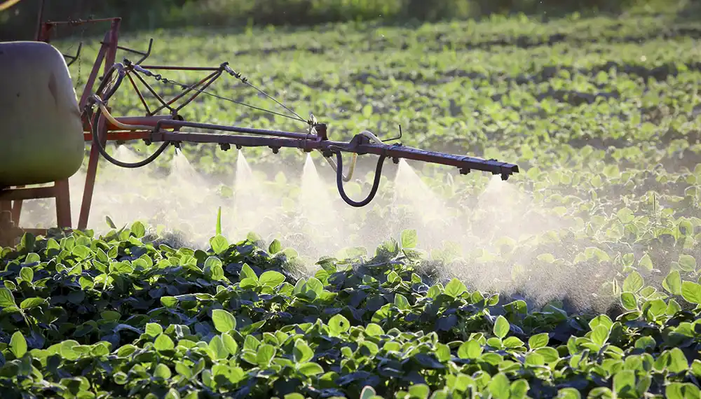 Histórico: Tres imputados por fumigar en zona prohibida en Pergamino