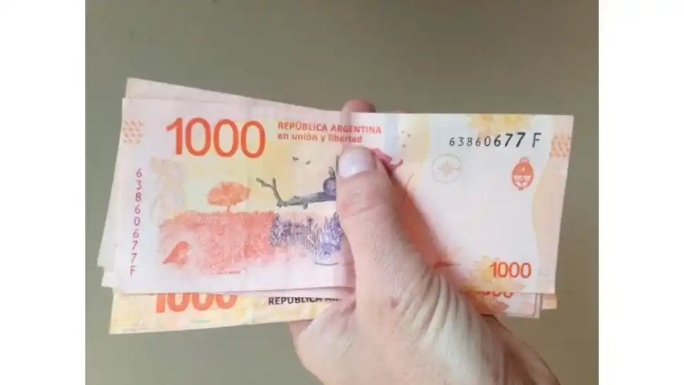 Jugoso bono de más de 100.000 pesos: lo cobrarán miles de empleados de este gremio