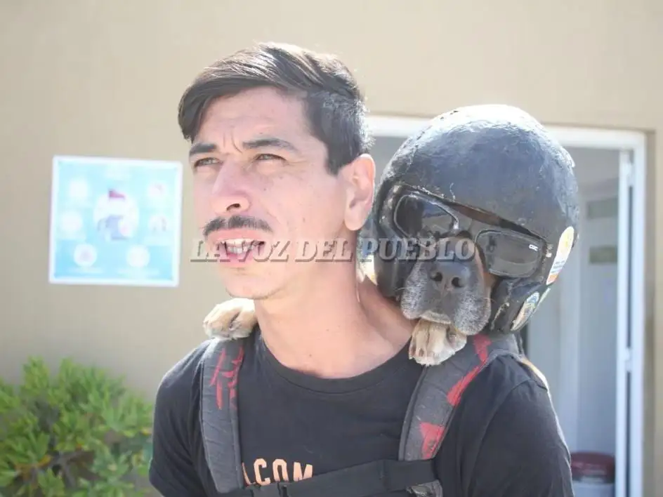 motoperro