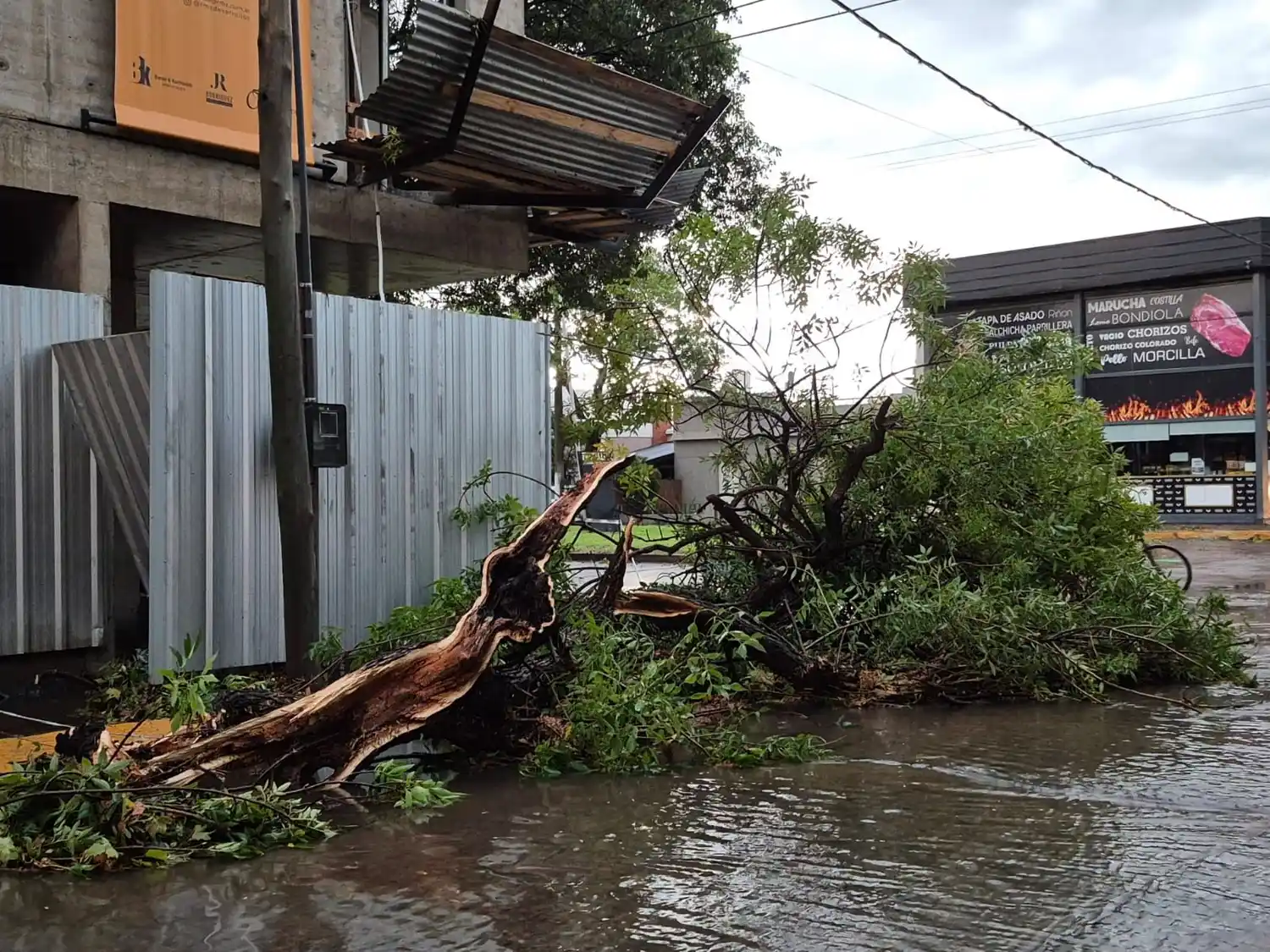 Casilda temporal - 1
