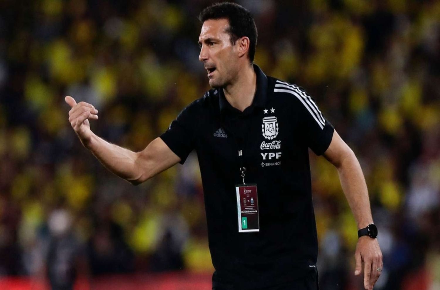Lionel Scaloni, tras el sorteo del Mundial: “Creo que podremos hacer una buena fase de grupos”