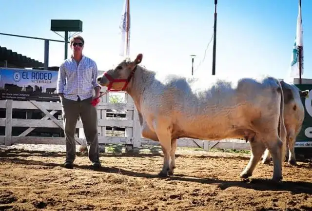 Comienza hoy una nueva edición de la Exposición Rural Gualeguay
