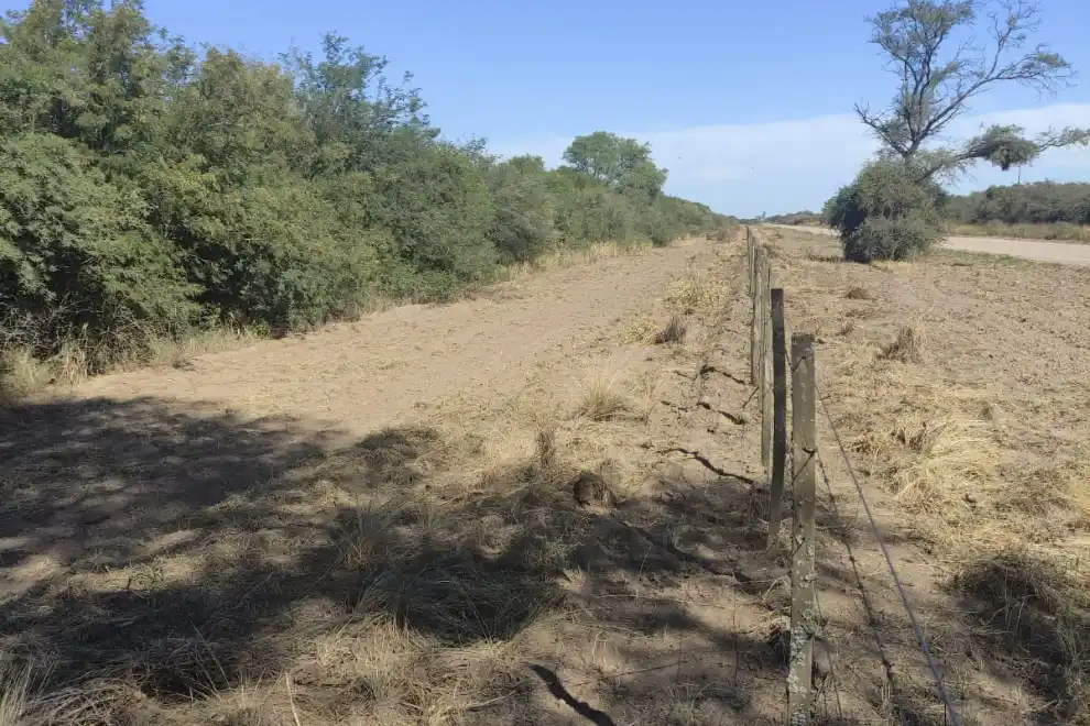 La intervención es obligatoria para aquellos propietarios de tierras que albergan estos ecosistemas.