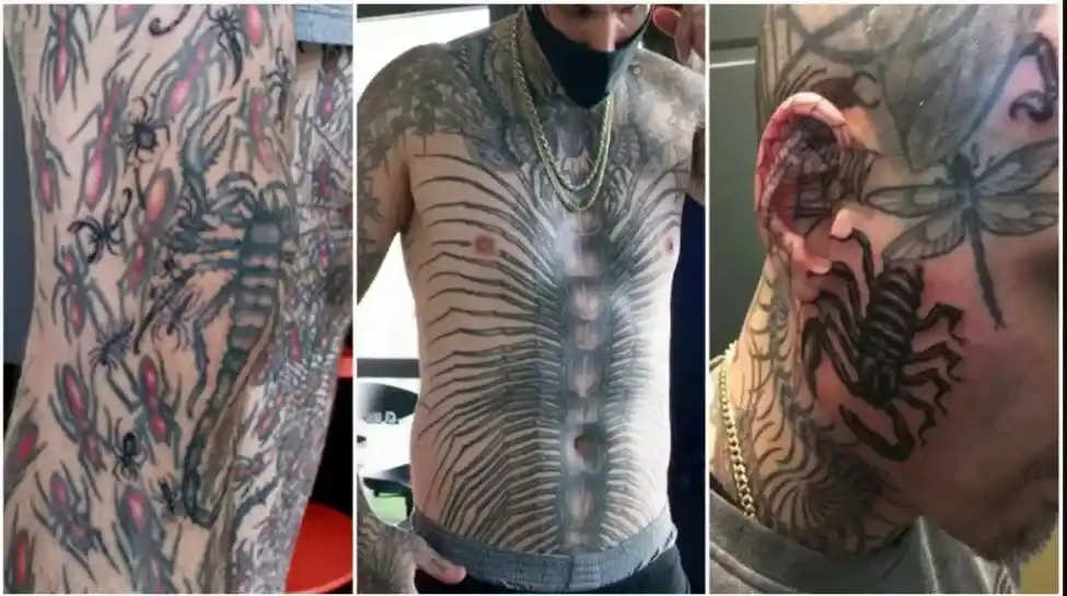 Tatu
