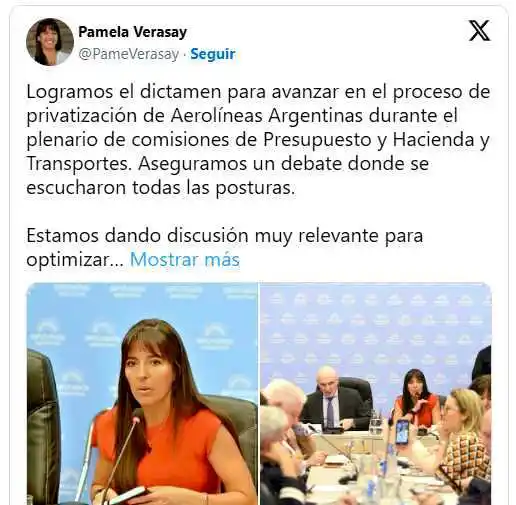 El oficialismo se alzó con el dictamen de mayoría 
sobre la privatización de Aerolíneas Argentinas