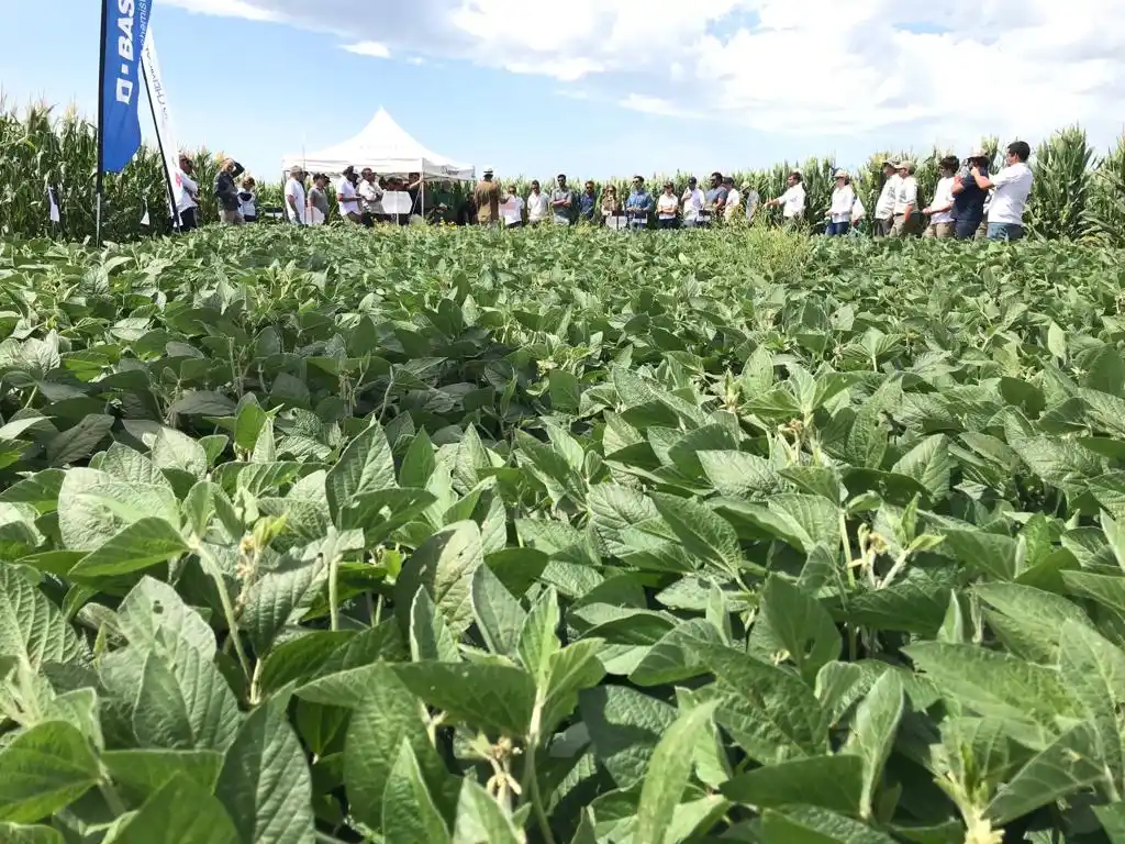 Un paseo por la agricultura digital enfocado en la gruesa
