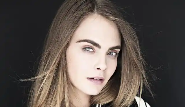 Novedades en cejas