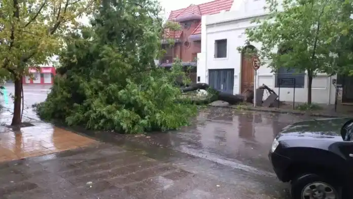 El temporal castigó fuerte a varios distritos del interior bonaerense