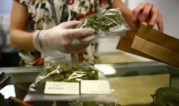 Bonaerenses comparten experiencias sobre el uso medicinal del cannabis