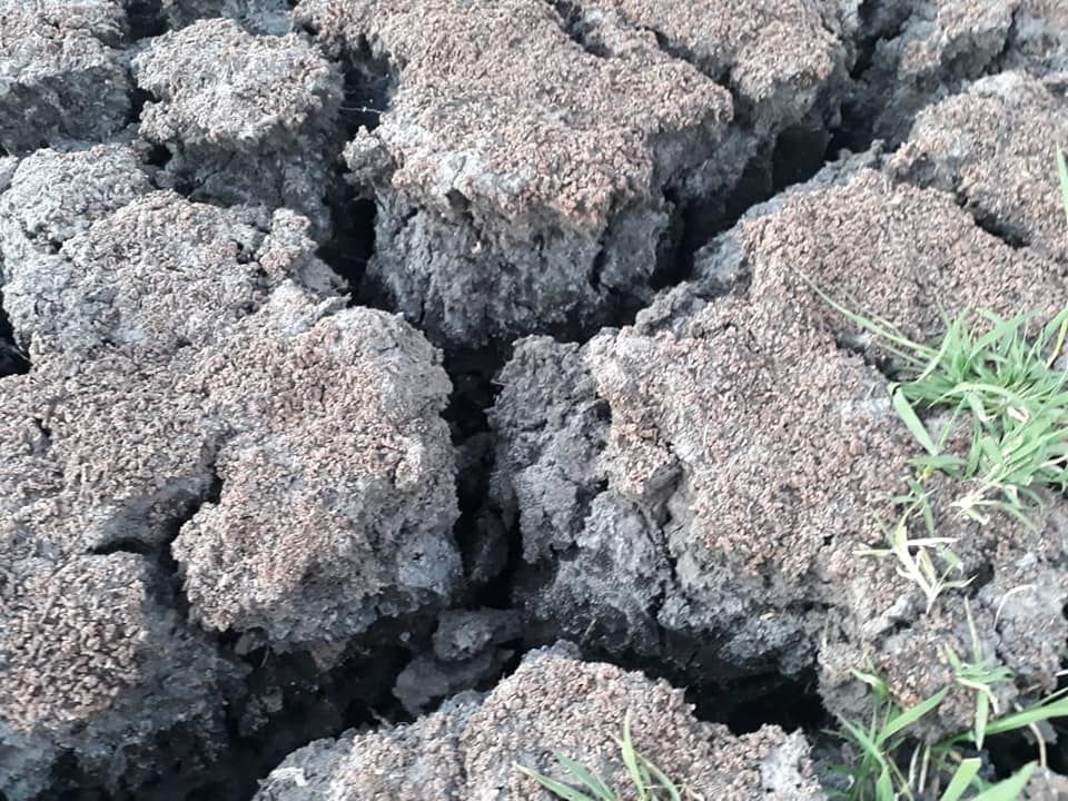 Clamor al Gobierno por el pequeño y mediano productor entrerriano