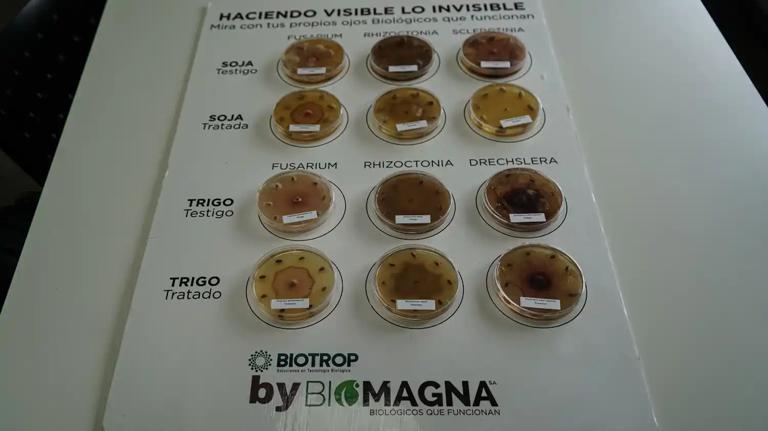 Los insumos biológicos ganan terreno frente a los químicos y demuestran superioridad agronómica y económica