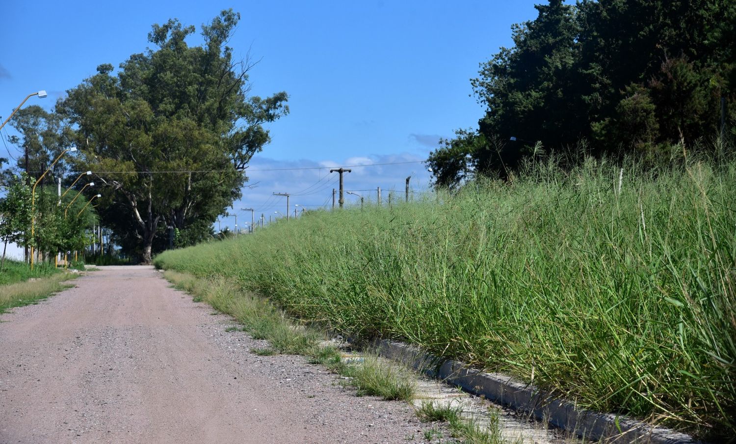 Humedad, lluvias, mosquitos, yuyales