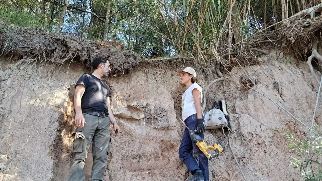 Especialistas del área Patrimonio Arqueológico-Paleontológico del Gobierno de la Provincia realizaron el rescate