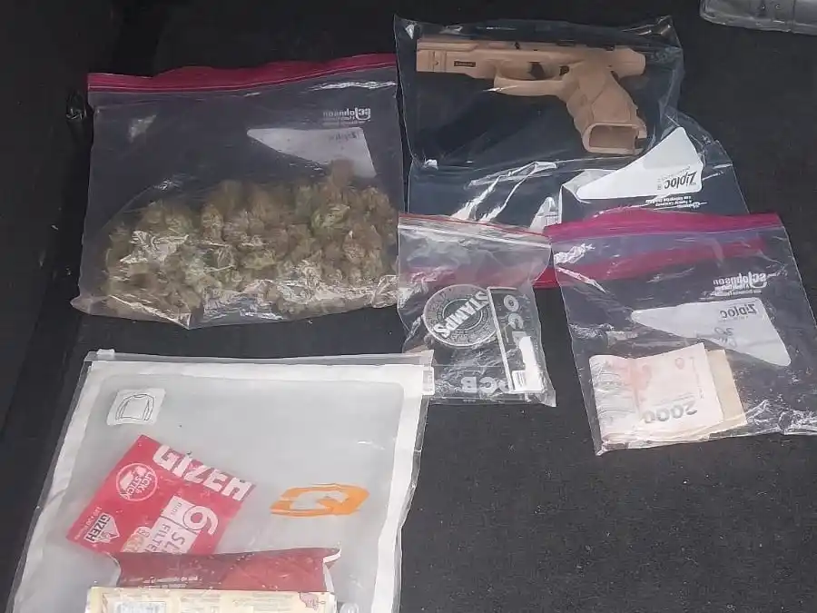 Secuestraron un auto, droga y un arma de fuego tras un operativo policial en un peaje de la región