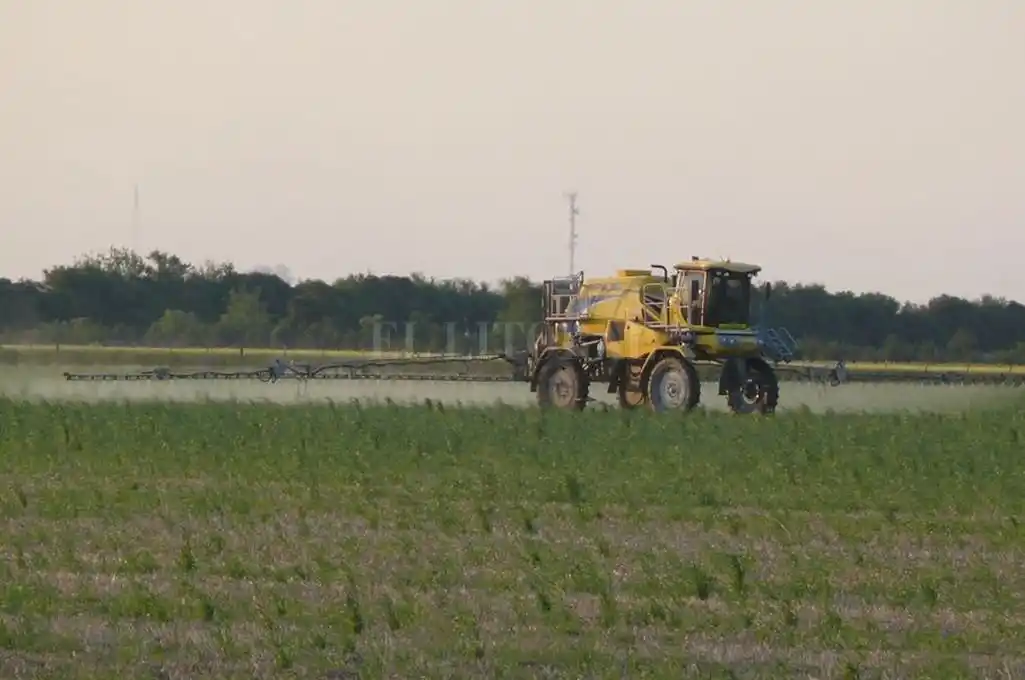 Bayer invertirá 5.000 millones de euros en productos alternativos al glifosato