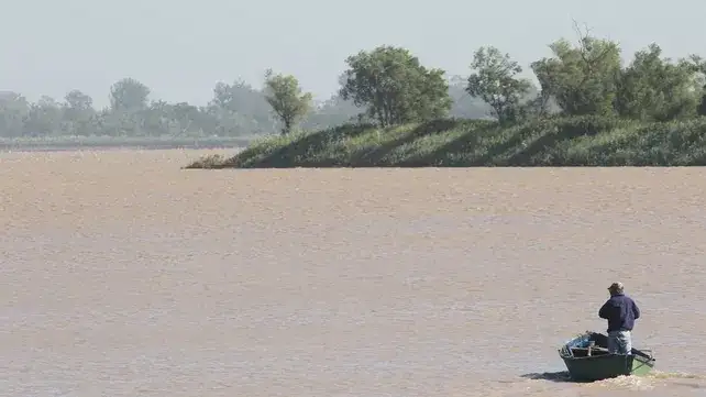 "El hambre no tiene frío": en las costas del Paraná crecen los pescadores que salen al río por necesidad