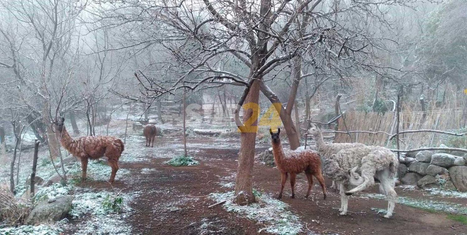 Espectaculares imágenes de la nieve en las altas cumbres de Córdoba 