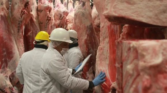 Argentina exportó más carne que sus vecinos pero a costa de ceder precio