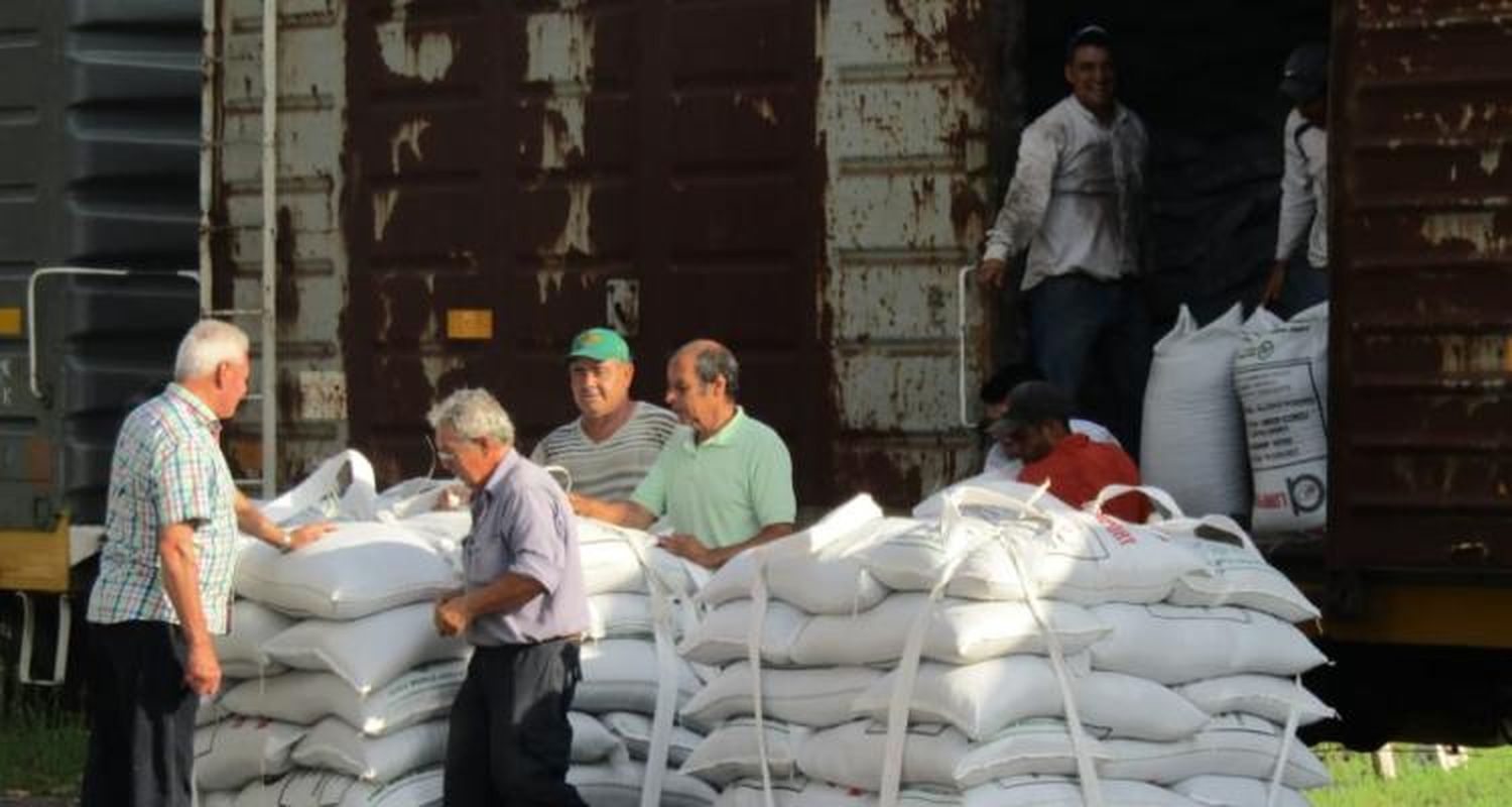 Comenzó la descarga y estiba de porotos con destino a Cuba