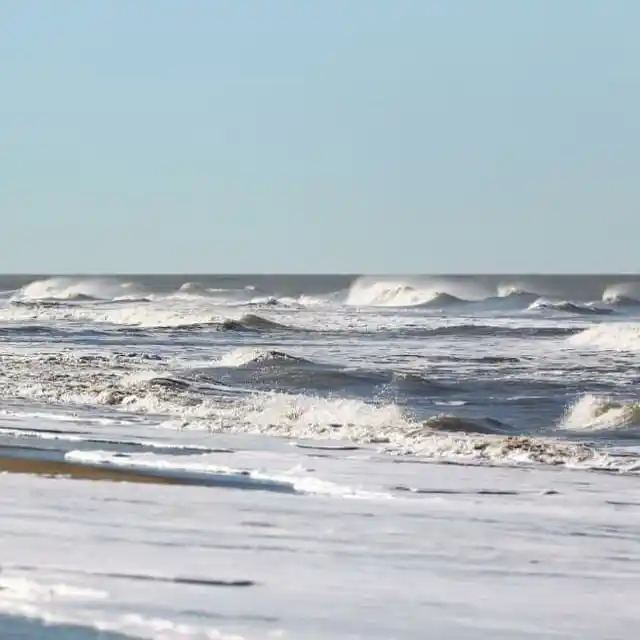 Intendente de Pinamar proyecta una temporada de verano con 2 millones de personas ¿Previsor o imprudente?