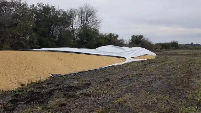 LA ESPIRAL DE VIOLENCIA CONTRA EL CAMPO DEBE CESAR DE INMEDIATO