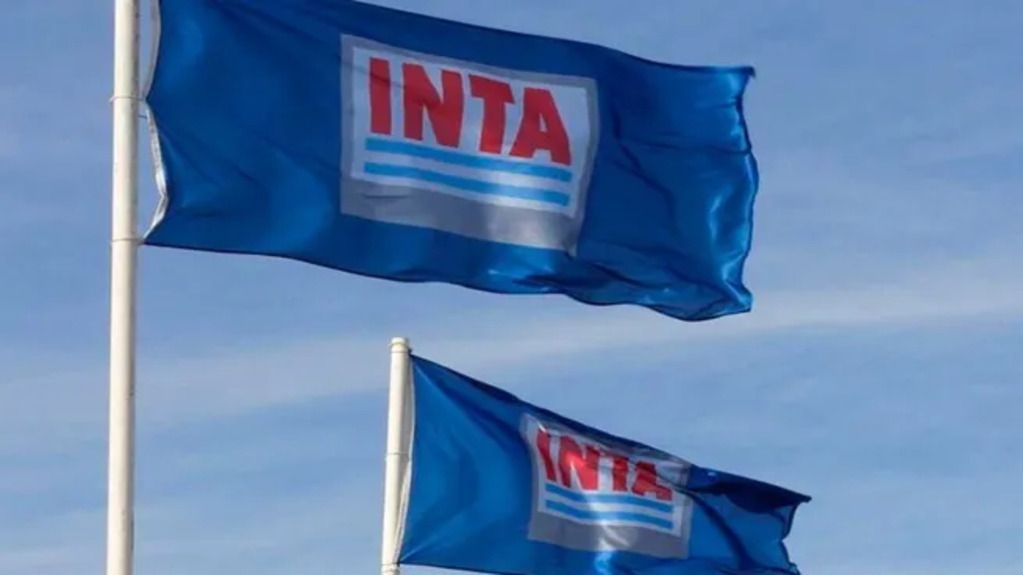 El vaciamiento del INTA: la carta viral de un investigador que conmueve al país