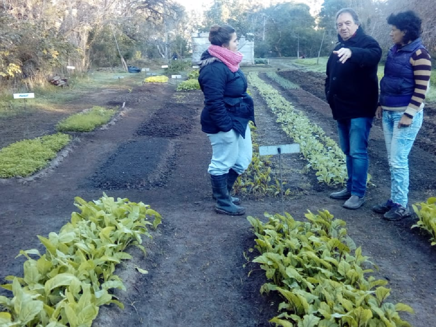 Huerta comunitaria en Brinkmann: el frío no detiene los trabajos y planean nueva feria                  