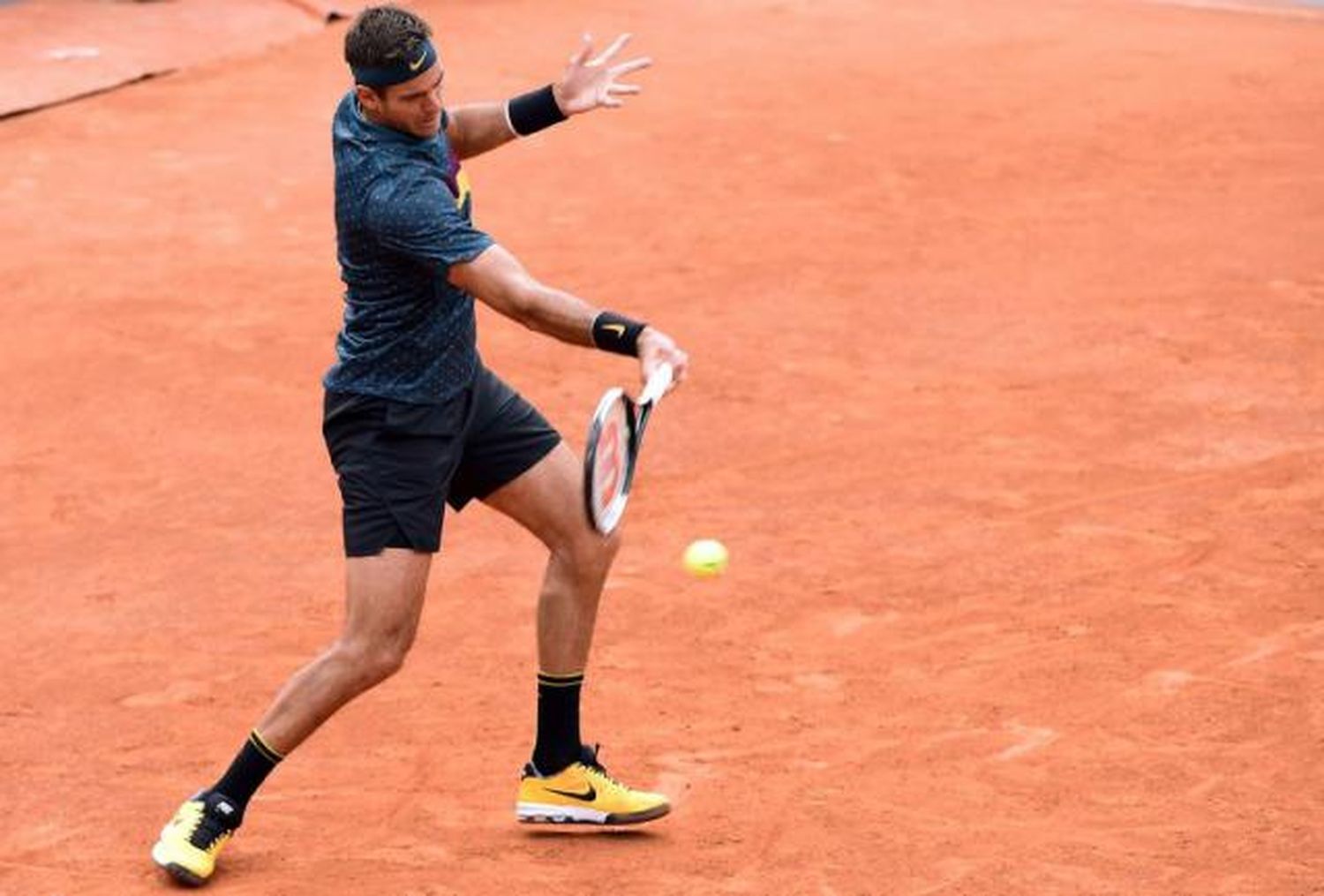 Del Potro sufrió, luchó y pasó de ronda en Roland Garros
