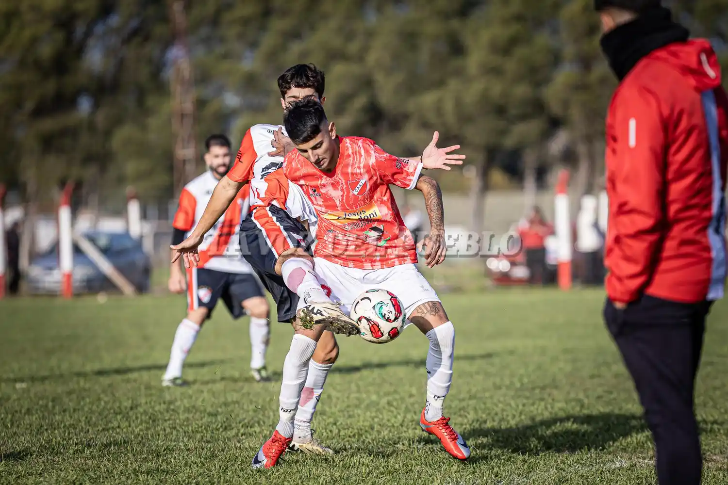 Argentino-agrario - 14