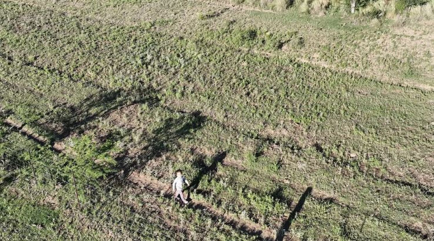 Encontraron con un dron a una niña de tres años que estuvo cinco horas perdida en un monte