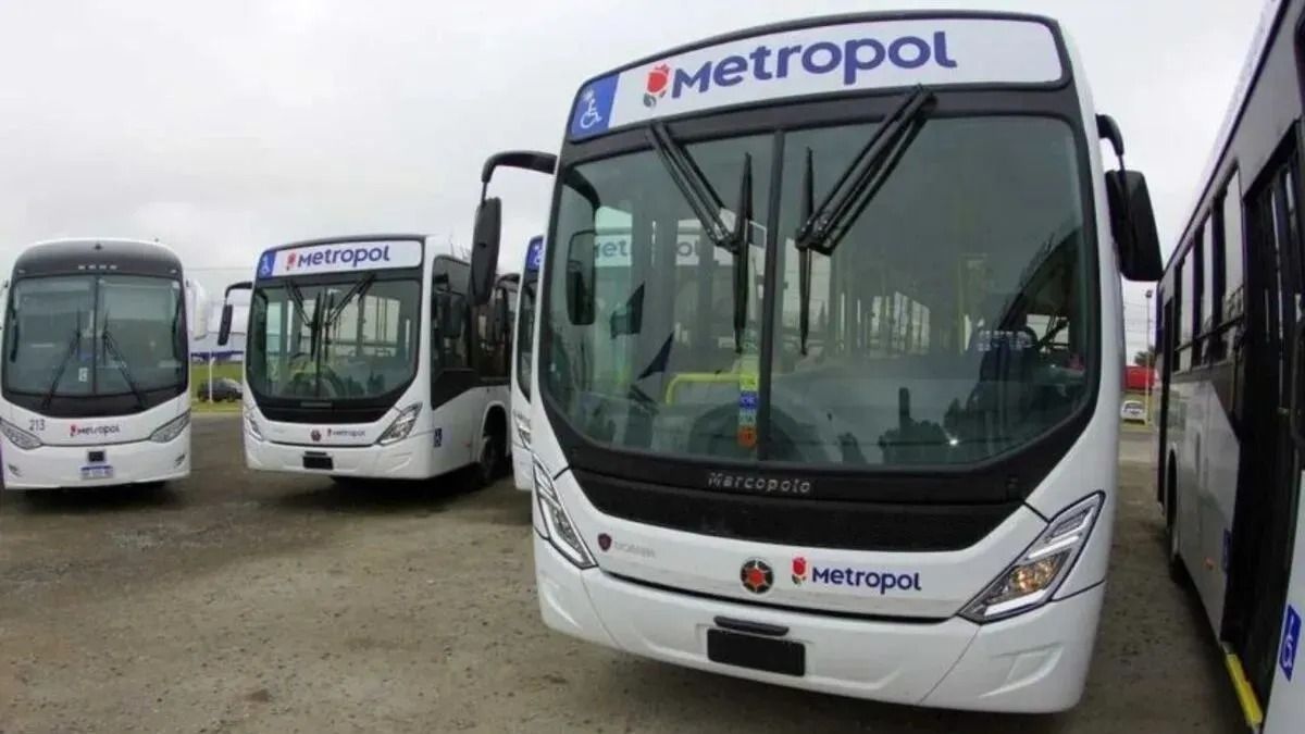D’Onofrio advirtió que si no levantan el paro de colectivos le quitarán la concesión a Metropol: “Con la Provincia no se jode”