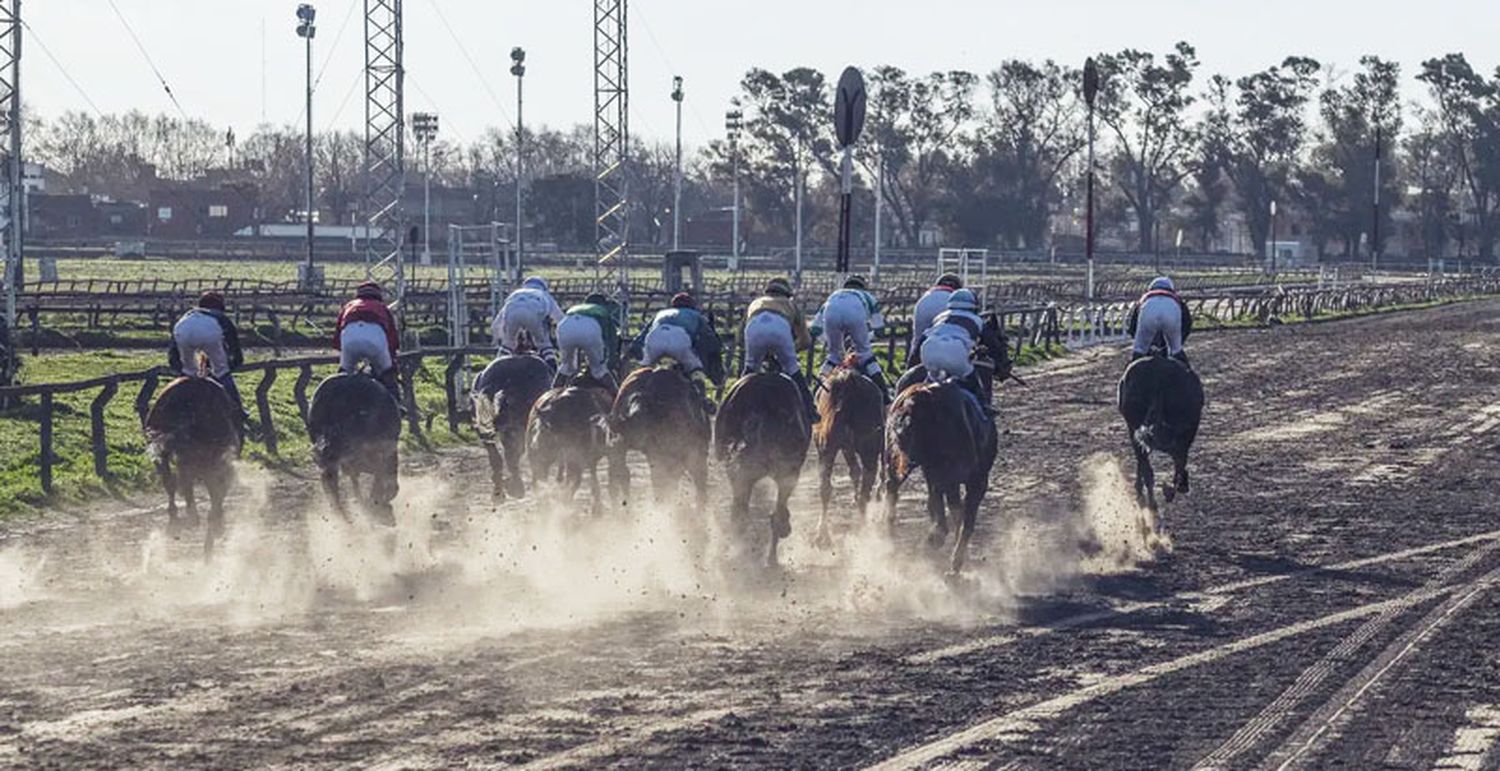 Domingo 6: Actividad Hipódromo de La Plata