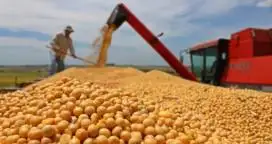 El Gobierno aprobó la primera importación de soja desde los Estados Unidos