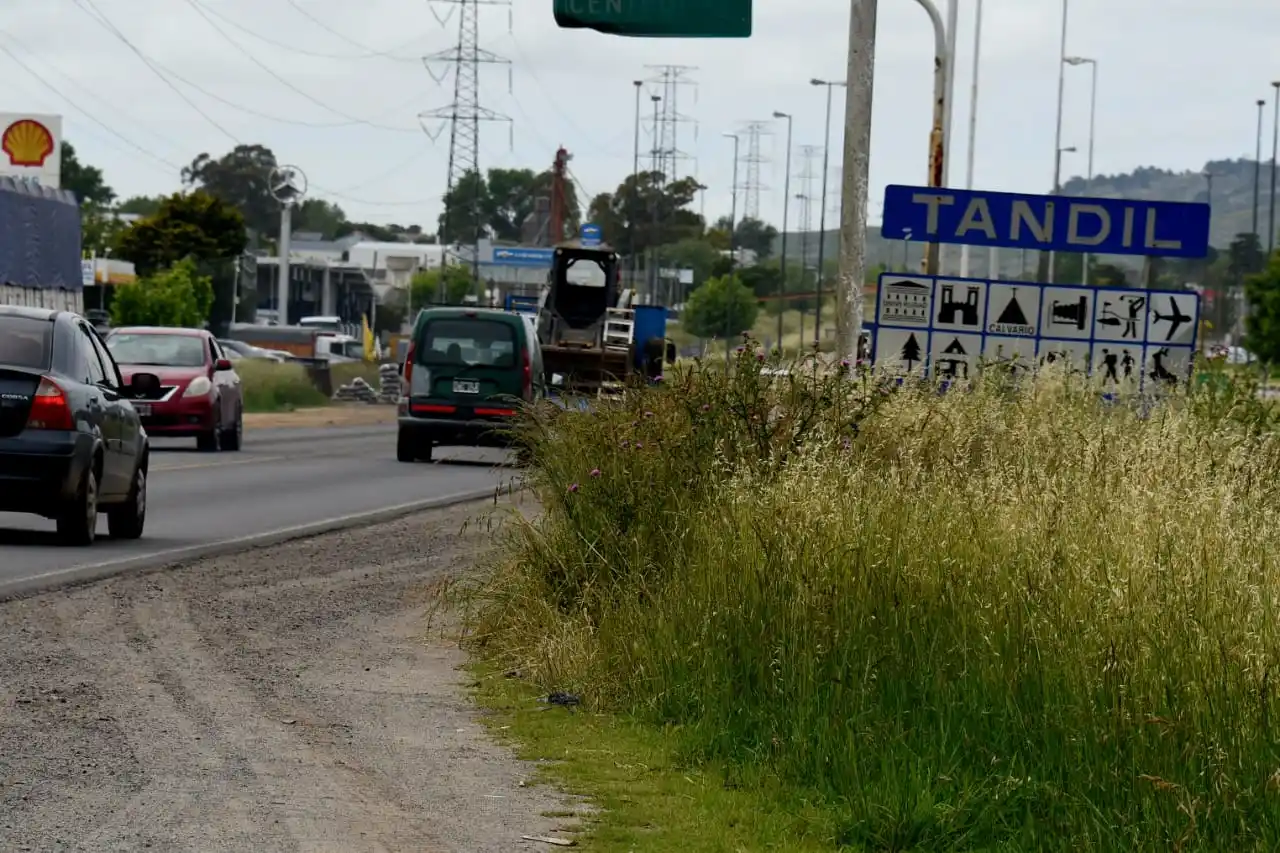 Los pastos altos crecen en las banquinas de la Ruta 226