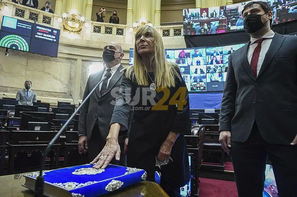 Vucasovich asumió la banca que dejó vacante Carlos Reutemann