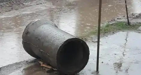 Miguel Porta: “La calle, un río”