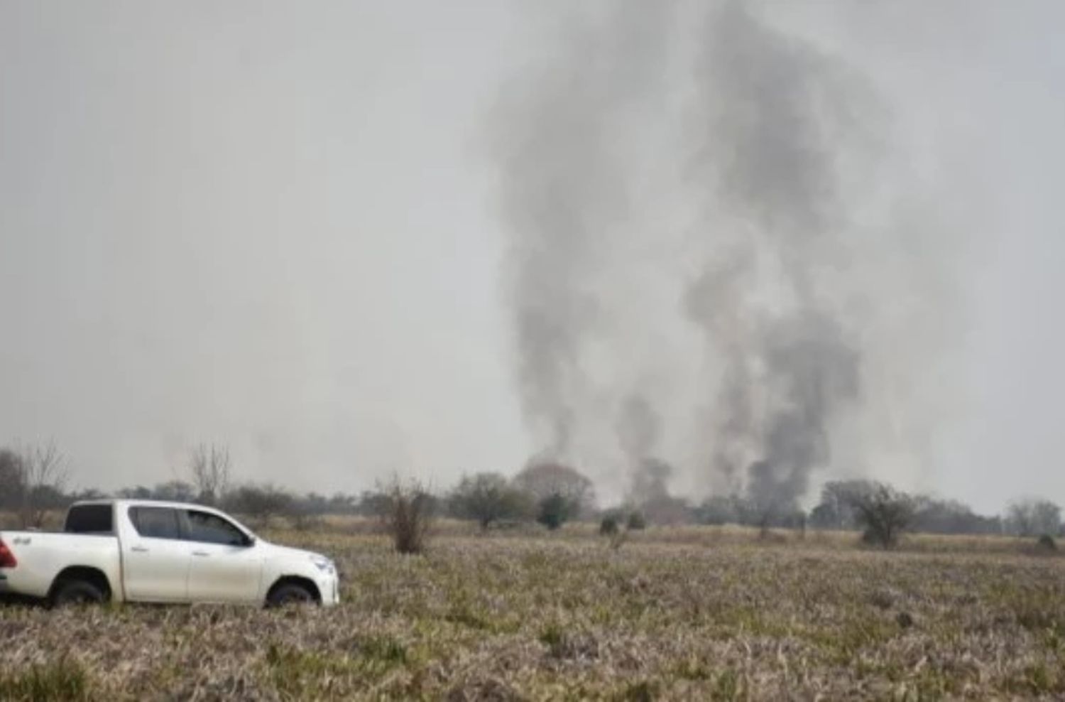 Se incendia un sector de la Reserva Natural de Punta Lara